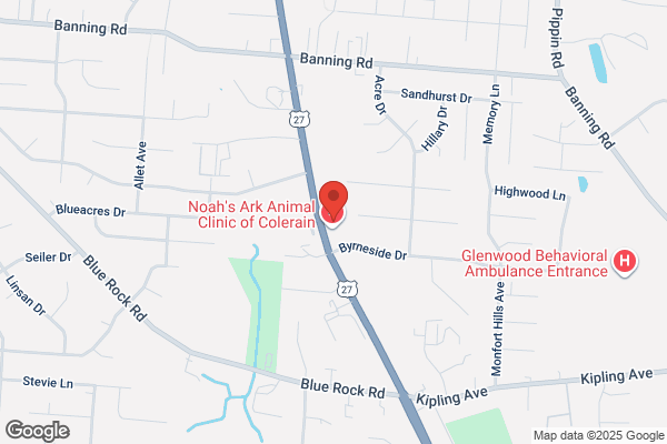 Knab Auto Body