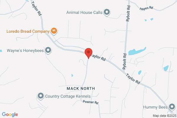 Accurate Inspectn Service
