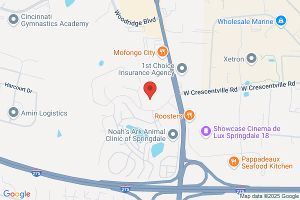 Allen R Randall DDS