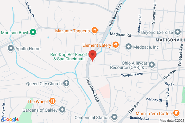 Cincinnatus Insurance LLC