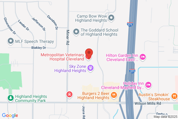 Harbor Light Hospice