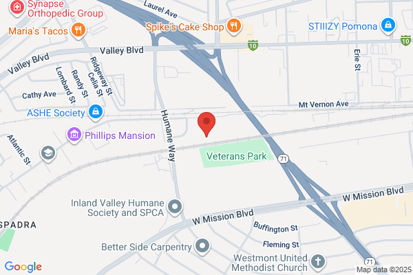 Eastman Violin Shop Inc