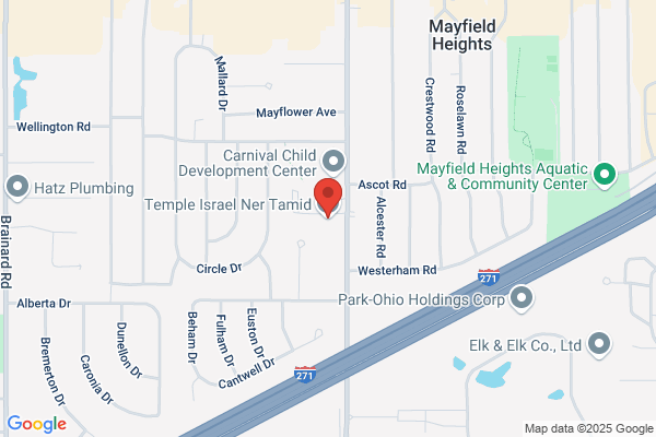 Temple Israel Ner Tamid