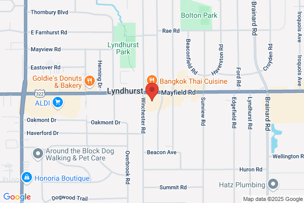 Lyndhurst Travel Consultants Inc