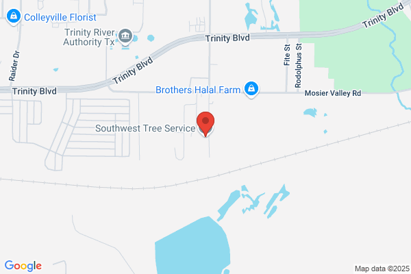 Southwest Tree Service