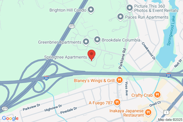Springtree Apartments