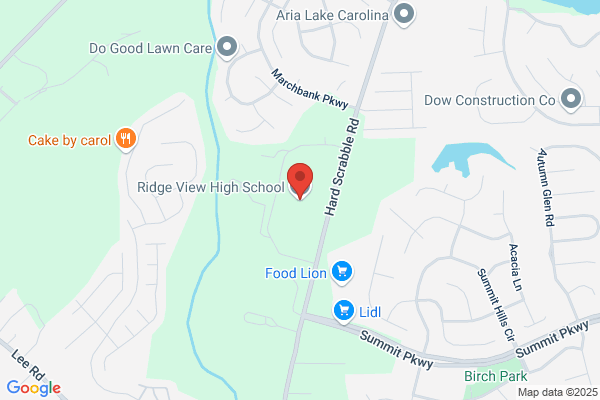 Ridge View High School