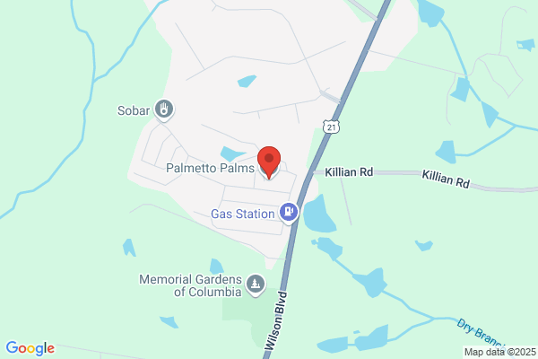 Palmetto Palms