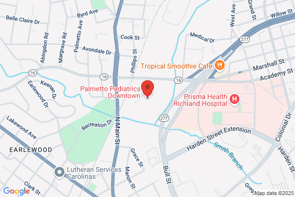 Palmetto Pediatric & Adolescent Clinic PA
