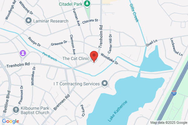 The Cat Clinic