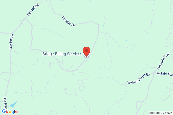 Bridge Billing Service the