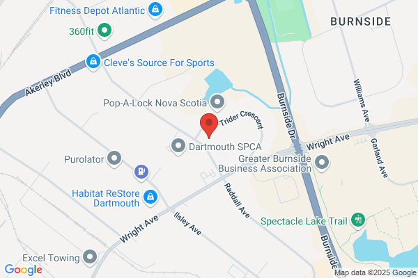 Nova Express Service Inc