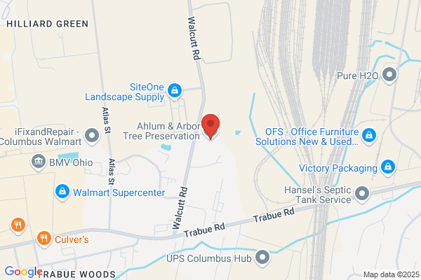 Ahlum & Arbor Tree Preservation