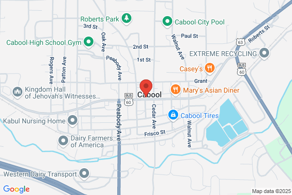 Cabool Insurance Agency Inc