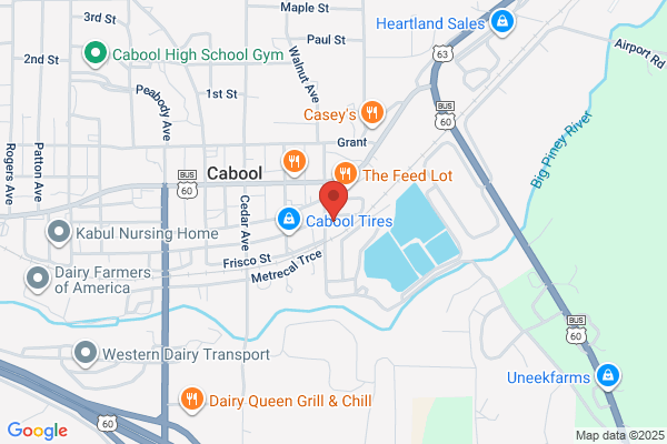 Texas County Library-Cabool