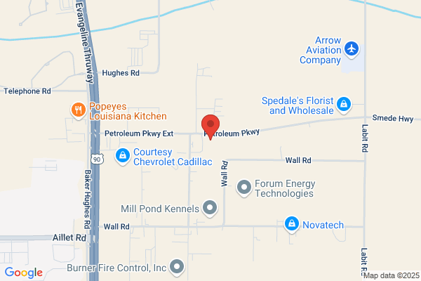 Newpark Wellhead Services Inc