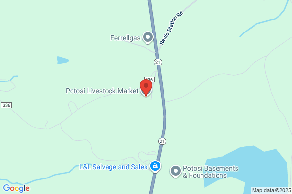 Potosi Livestock Market