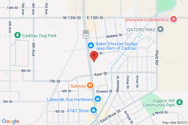 Advance Auto Parts