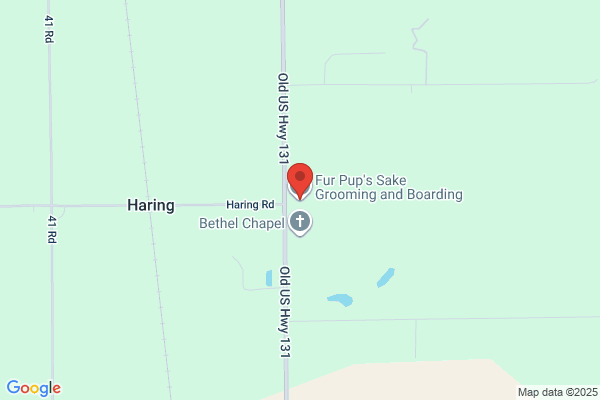 Shampoochies Pet Grooming & Boarding