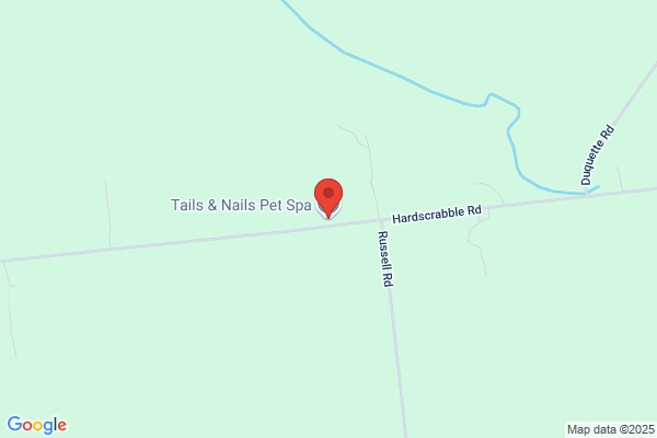 Tails & Nails Pet Spa