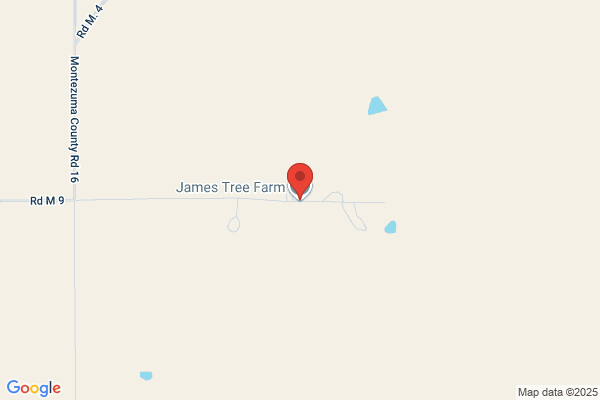 James Tree Farm