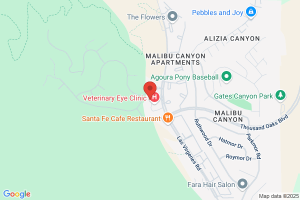 Dentique Calabasas