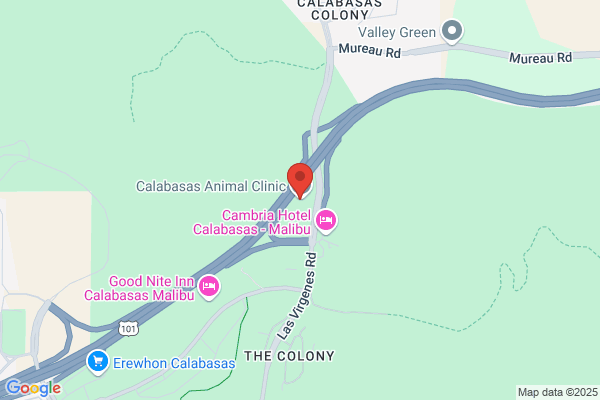 Calabasas Dental Spa