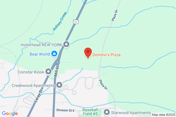 Domino's Pizza