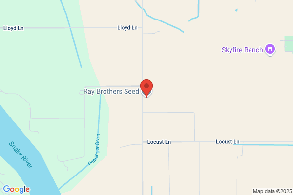 Ray Brothers Seed