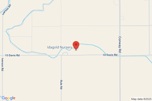 Idagold Nursery