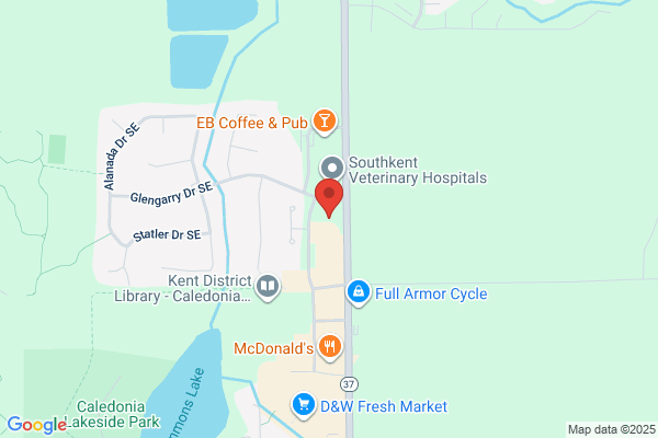 Caledonia Dental Group
