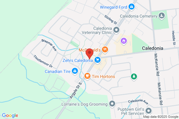 Caledonia Video & Arcade