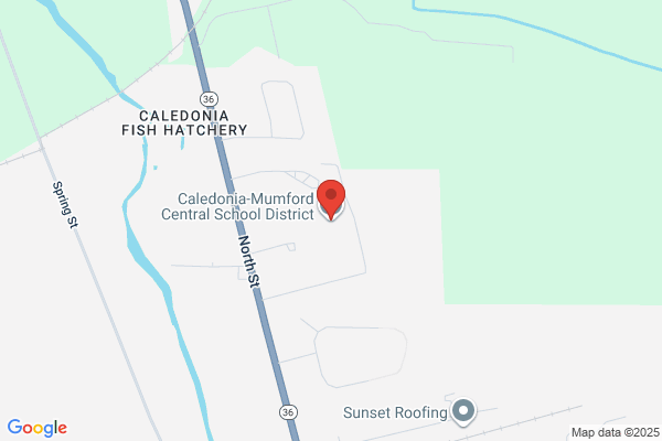 Caledonia-Mumford Central Schools