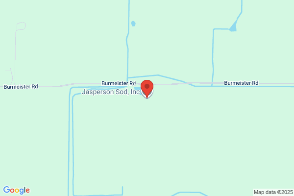 Jasperson's Evergreen Grass