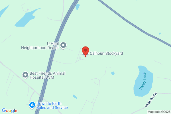 Calhoun Stockyard Hwy 53 Inc