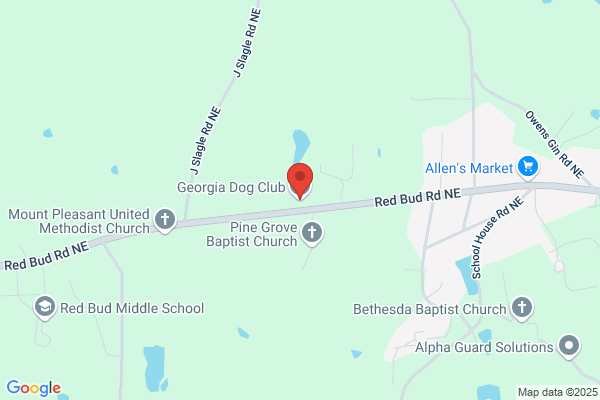 Georgia Dog Club