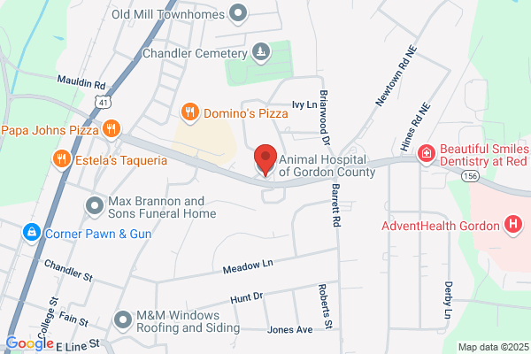 Animal Hospital of Gordon County