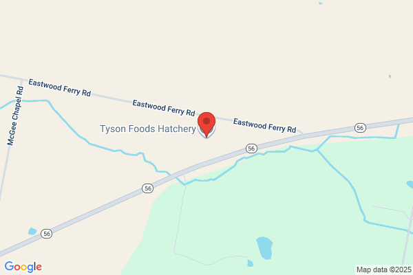 Tyson Foods Inc