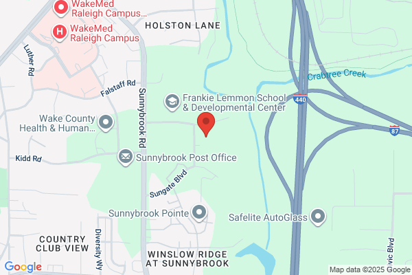 Holly Hill Childrens Services, Childrens Home