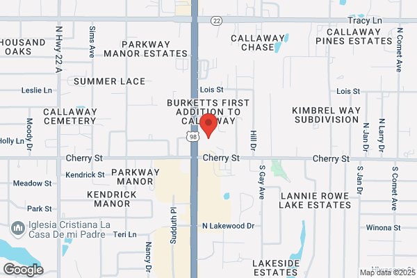 Advance Auto Parts