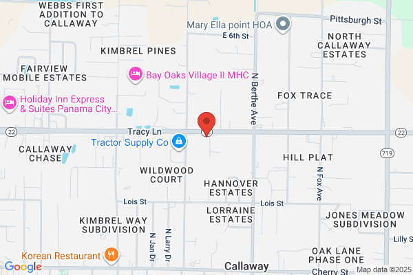 Robotic Security Systems Inc