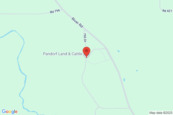Pandorf Land & Cattle Co
