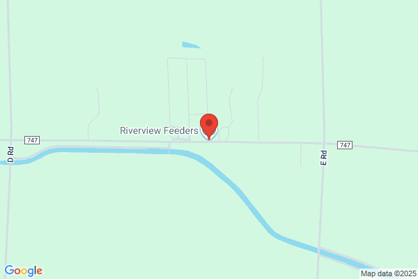 Riverside Feeders