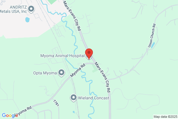 Myoma Animal Hospital