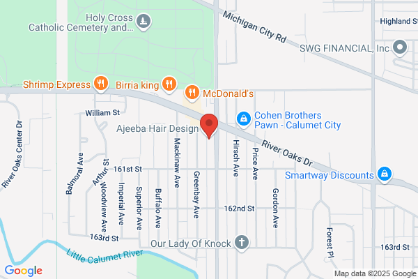 Illinois Title Loans