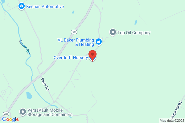 Overdorff Nursery Lawn & Garden