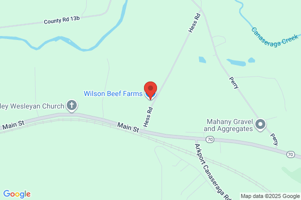 Wilson Farms Meat Co Inc