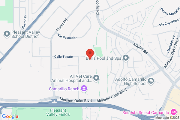 Camarillo Dental Arts: Ariel Gurses