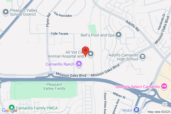 Camarillo Spine and Nerve Institute