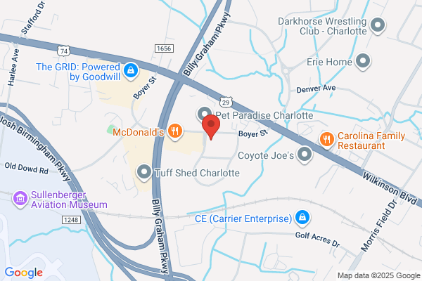 Smith & Nephew Orthopedics